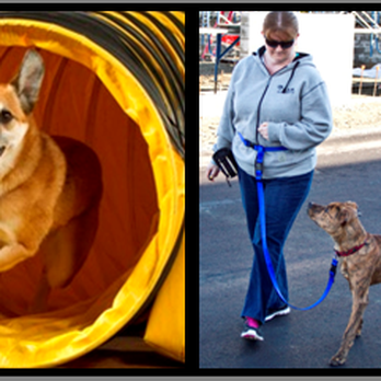 Cowichan Canine - Pet Training Near Me - Cobble Hill, British Columbia Cowichan Canine - Pet Training Near Me - Cobble Hill, British Columbia