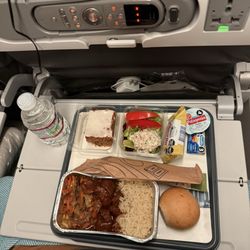 American Airlines - Dinner