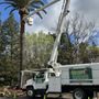 Photo of Navarijo’s tree service