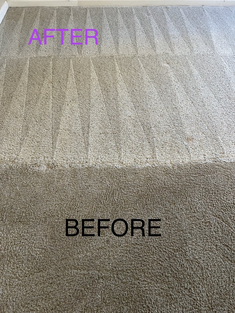 CLASSIC CARPET CLEANING 142 Photos & 82 Reviews Roseville