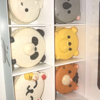 Daan Go Cake Lab - Macarons Near Me - Toronto, Ontario Daan Go Cake Lab - Macarons Near Me - Toronto, Ontario