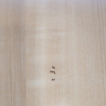 Popeyes Louisiana Kitchen - ANTS EVERYWHERE - Chicken Wings Near Me - Bradley, Illinois Popeyes Louisiana Kitchen - ANTS EVERYWHERE - Chicken Wings Near Me - Bradley, Illinois