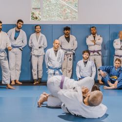 Framework BJJ - Focusing on technique.