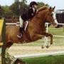 Sovereign Farm