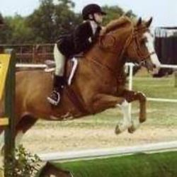 Sovereign Farm - Get your kids jumpin' to their dreams!