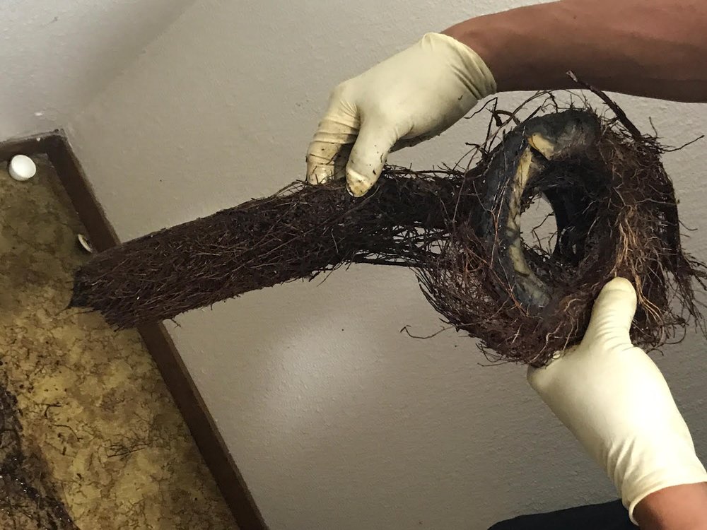 Slide of All About Rooter