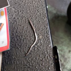 Thomas Automotive - The nail found in my tire