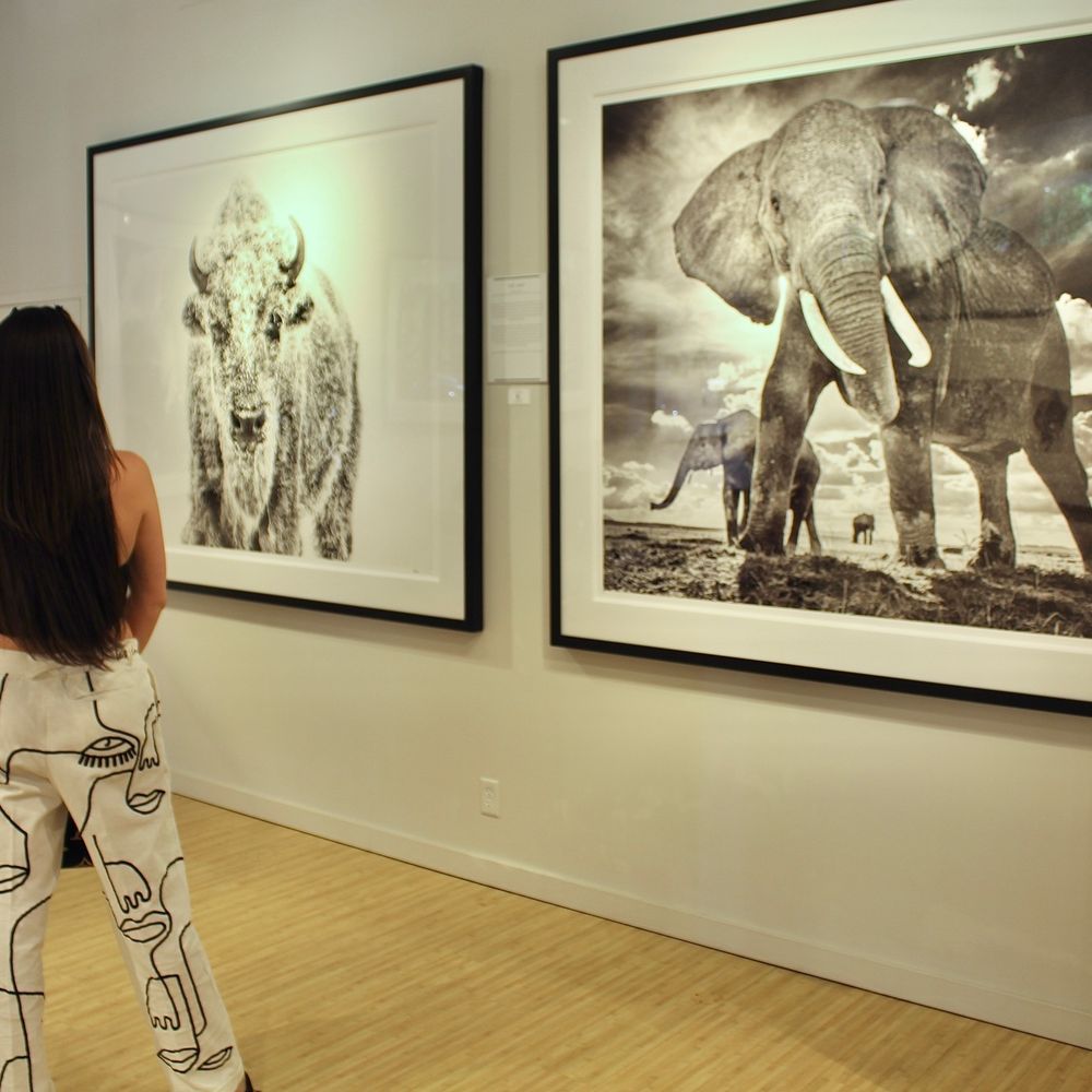 Relevant Galleries - Relévant Galleries has one the largest and longest-standing US collections of Yarrow's work. - Art Galleries Near Me - Denver, Colorado