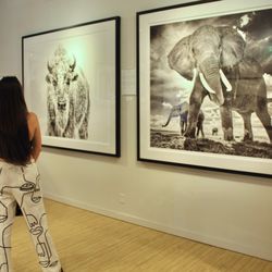 Relevant Galleries - Relévant Galleries has one the largest and longest-standing US collections of Yarrow's work.