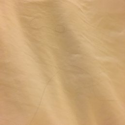 Hair in bed