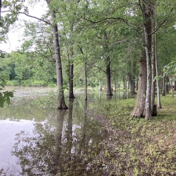 Thousand Trails - Campgrounds Near Me - Point, Texas Thousand Trails - Campgrounds Near Me - Point, Texas