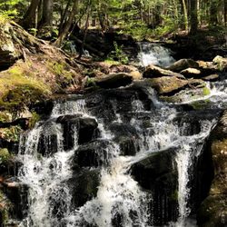 Day Pond State Park
