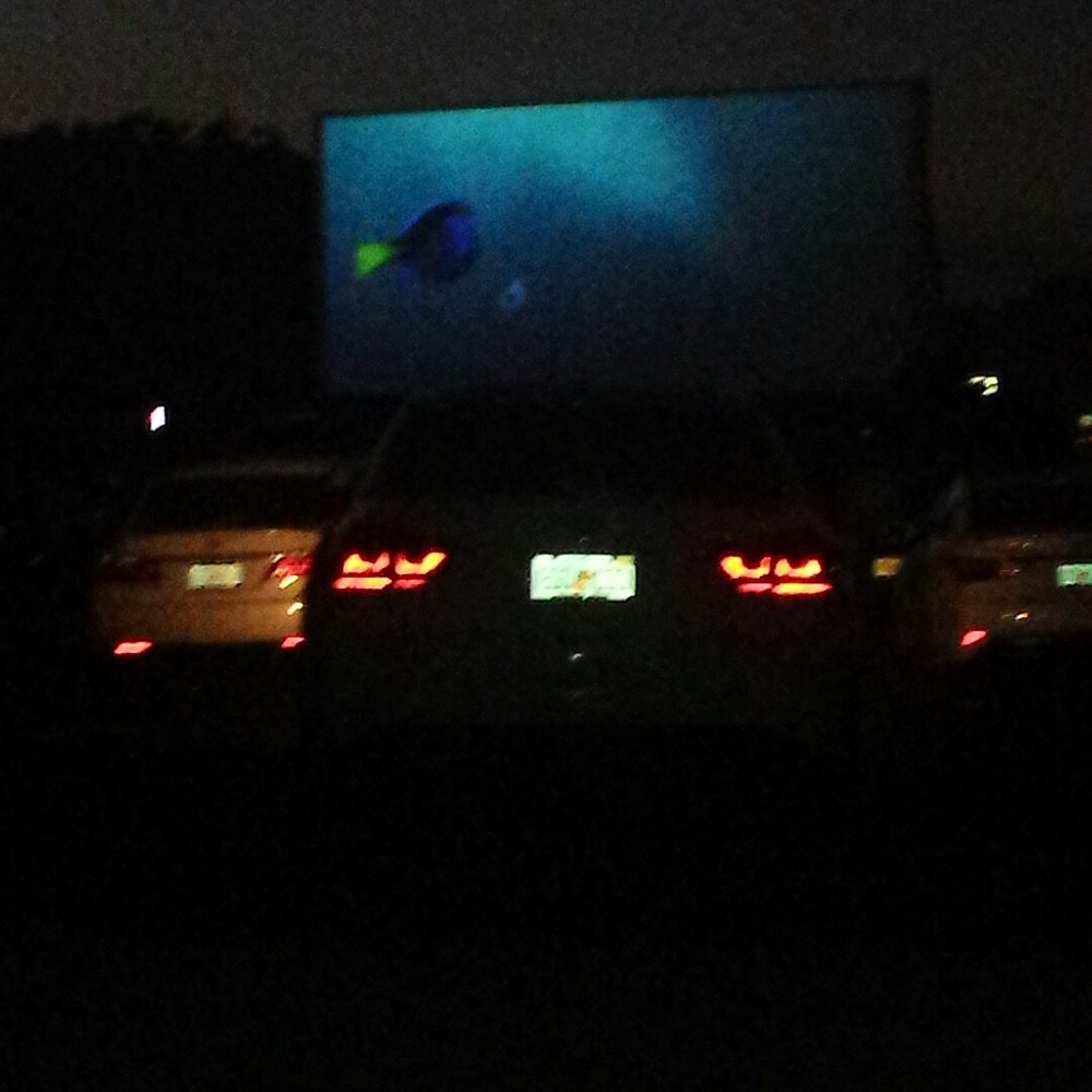 Ocala Drive-In - Watching Finding Dory - Drive-In Theater Near Me - Ocala, Florida Ocala Drive-In - Watching Finding Dory - Drive-In Theater Near Me - Ocala, Florida