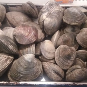 Captree Clam - Seafood Markets Near Me - West Babylon, New York Captree Clam - Seafood Markets Near Me - West Babylon, New York