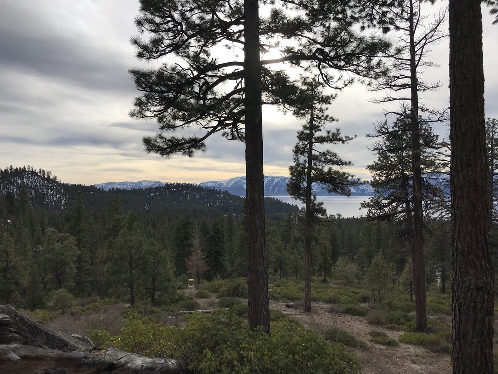 ZEPHYR COVE DISC GOLF COURSE Updated September 2024 10 Photos