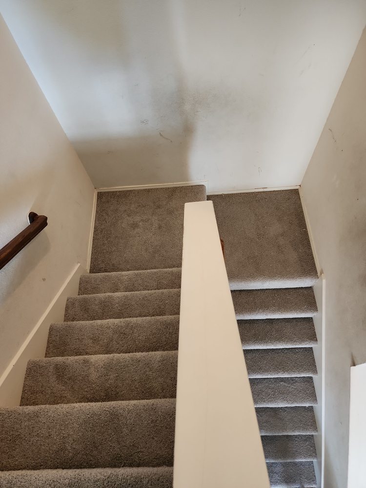 VILLATORO CARPET 35 Photos Irving, Texas Carpet Installation