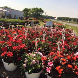 Blessing Farms