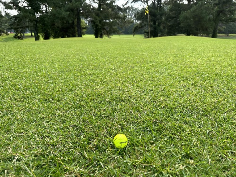 ORGILL PARK GOLF COURSE Updated June 2025 11 Photos 9080 Bethuel