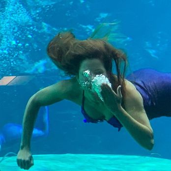 Weeki Wachee Springs - Amusement Parks Near Me - Spring Hill, Florida