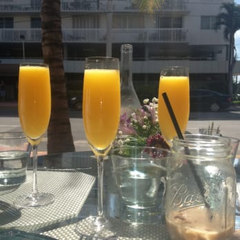 The Local House - 16 dollar unlimited mimosas! - Hotels Near Me - Miami Beach, Florida The Local House - 16 dollar unlimited mimosas! - Hotels Near Me - Miami Beach, Florida