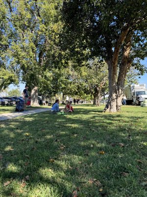 City Park Farmers Market by null