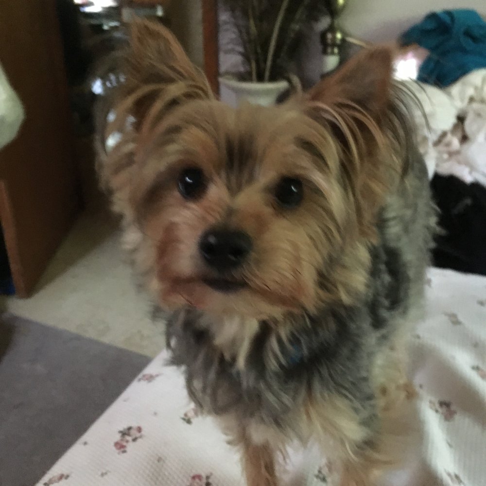 WADING RIVER VETERINARY HOSPITAL Updated September 2024 6278 Rte