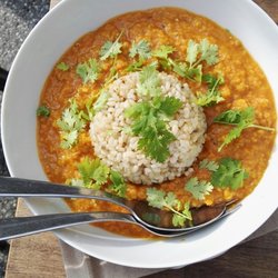 Vida - Tikka Marsala