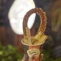 Photo of Santo Dulce Churros & Ice Cream