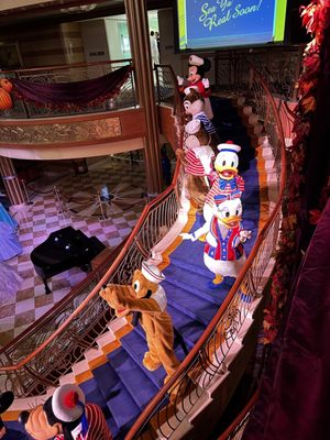 Disney Dream by null