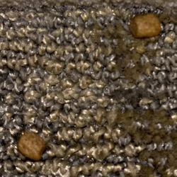 What is this on the carpet?!