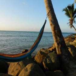 Boriken Delights - The great hammock...