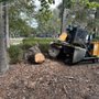 Photo of Hernandez Bros Tree Service