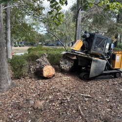 Hernandez Bros Tree Service - Stump Grinding