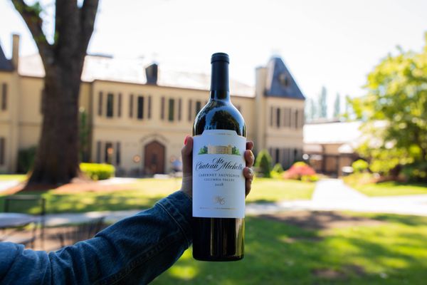 Chateau Ste. Michelle Winery by null