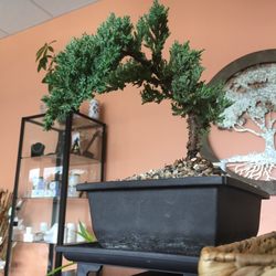 Holistic Solutions - Topiary on a miniature scale.