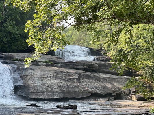 DuPont State Recreational Forest by null