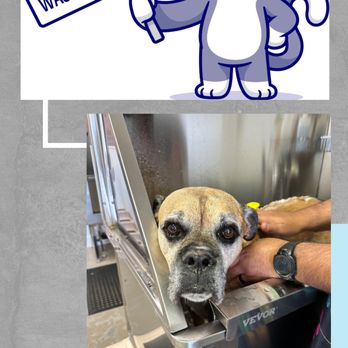 Muddy Mutt - Pet Groomers Near Me - Windsor, Colorado Muddy Mutt - Pet Groomers Near Me - Windsor, Colorado