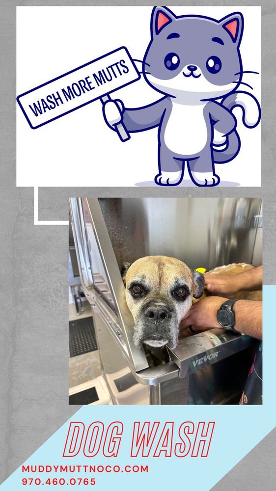 MUDDY MUTT Updated August 2024 18 Photos 1296 Main St, Windsor