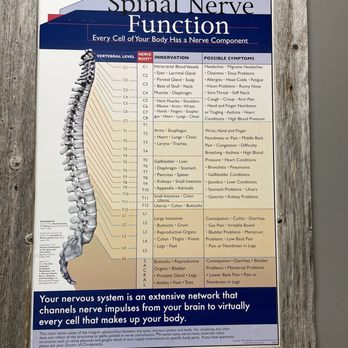 Authority Chiropractic - Chiropractors Near Me - San Antonio, Texas