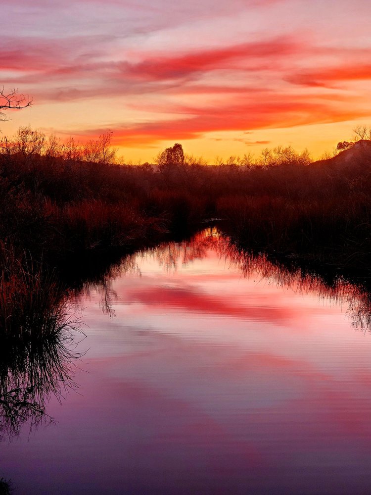 PALMA DE LA REINA APARTMENTS 5533 Cancha De Golf, Rancho Santa Fe, CA