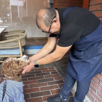 Greek Bistro - Leo the golden doodle and Marco. They treat you like family here - Greek Near Me - Glendale, California Greek Bistro - Leo the golden doodle and Marco. They treat you like family here - Greek Near Me - Glendale, California