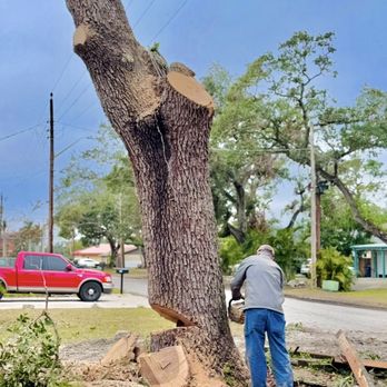 Watwood Company - Tree Services Near Me Watwood Company - Tree Services Near Me