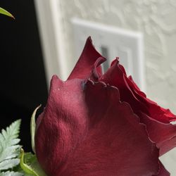 Enid Floral & Gifts