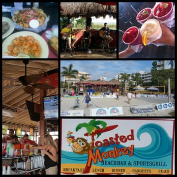 Toasted Monkey - Toasted Monkey Beach Bar @ St Pete Beach - American Near Me - St Pete Beach, Florida Toasted Monkey - Toasted Monkey Beach Bar @ St Pete Beach - American Near Me - St Pete Beach, Florida