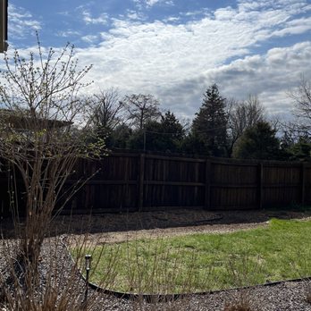 Brammer Tree Service and Stump Removal - After - Tree Services Near Me Brammer Tree Service and Stump Removal - After - Tree Services Near Me