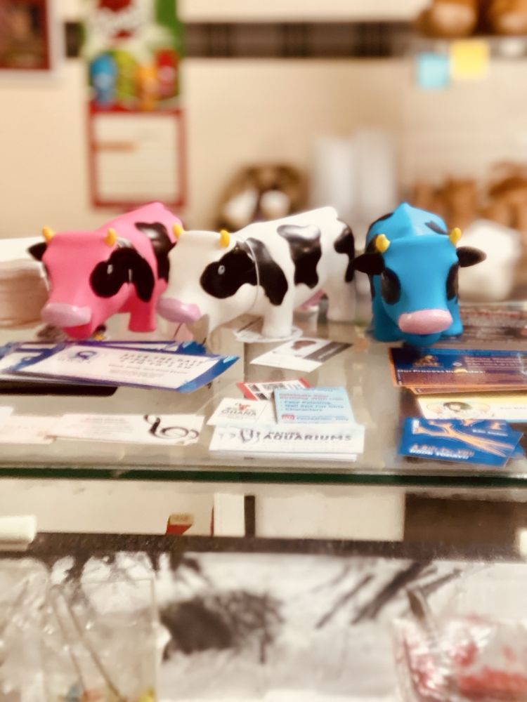 The Magic Cow Logo