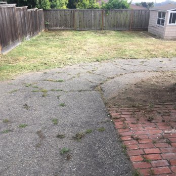 Mowing Ape Yard Care - After - Landscaping Near Me Mowing Ape Yard Care - After - Landscaping Near Me