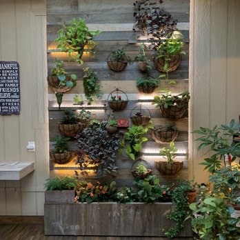 Cafe Bench - Cafes Near Me - Flushing, New York