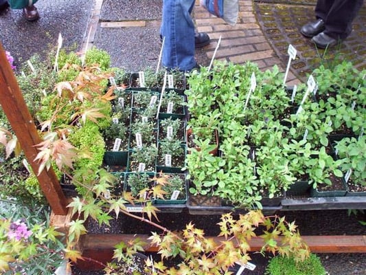 Portland Farmers Market at PSU by null