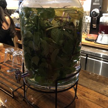 Ella Cafe - Complimentary mint water at counter. - Coffee & Tea Near Me - Plantation, Florida